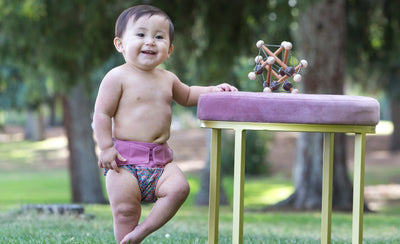 GroVia Hybrid Cloth Diaper