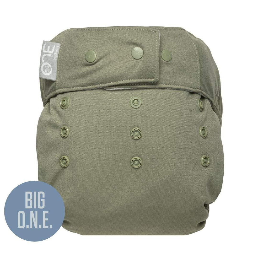 Cloth Diapers For Toddlers - Fern Green Cloth Diaper | GroVia